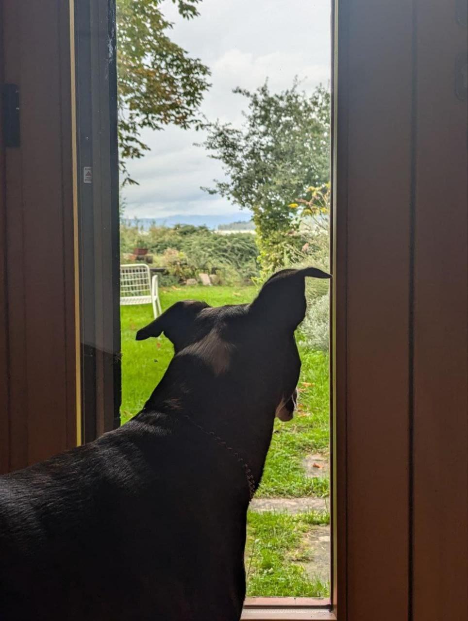 Chalet Sul Trasimeno SantʼArcangelo Eksteriør bilde